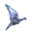 pigeon_clip_image001
