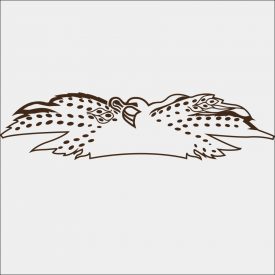 bird logo