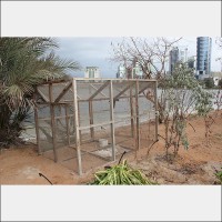 Bird trap
