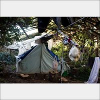 Tents 900