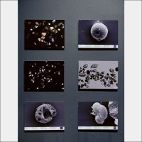Air Matters 13