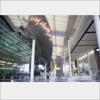 Heathrow T5 2021 2