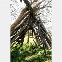 Bushy Park 2
