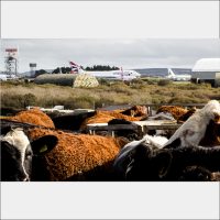 Cornwall Airport 2020