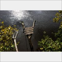 Thames. Tedd Lock 2020